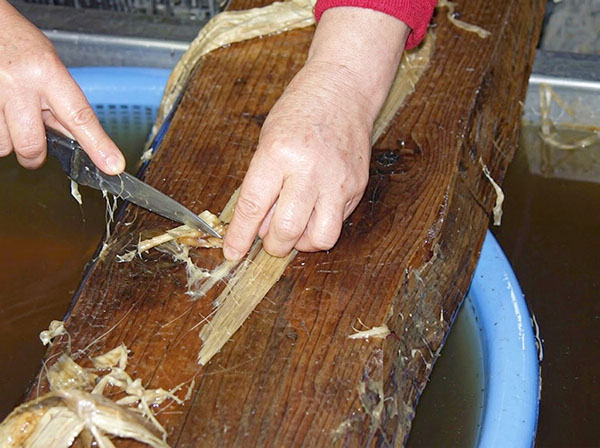 Scraping with Knife