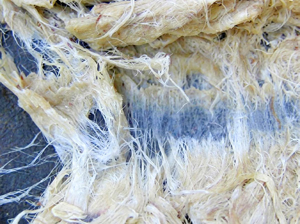 Stringy Fibers